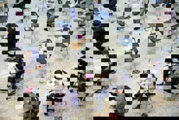 رشته های جدید به مجموعه رشته های «آزمون کارشناسی ارشد» اضافه شد